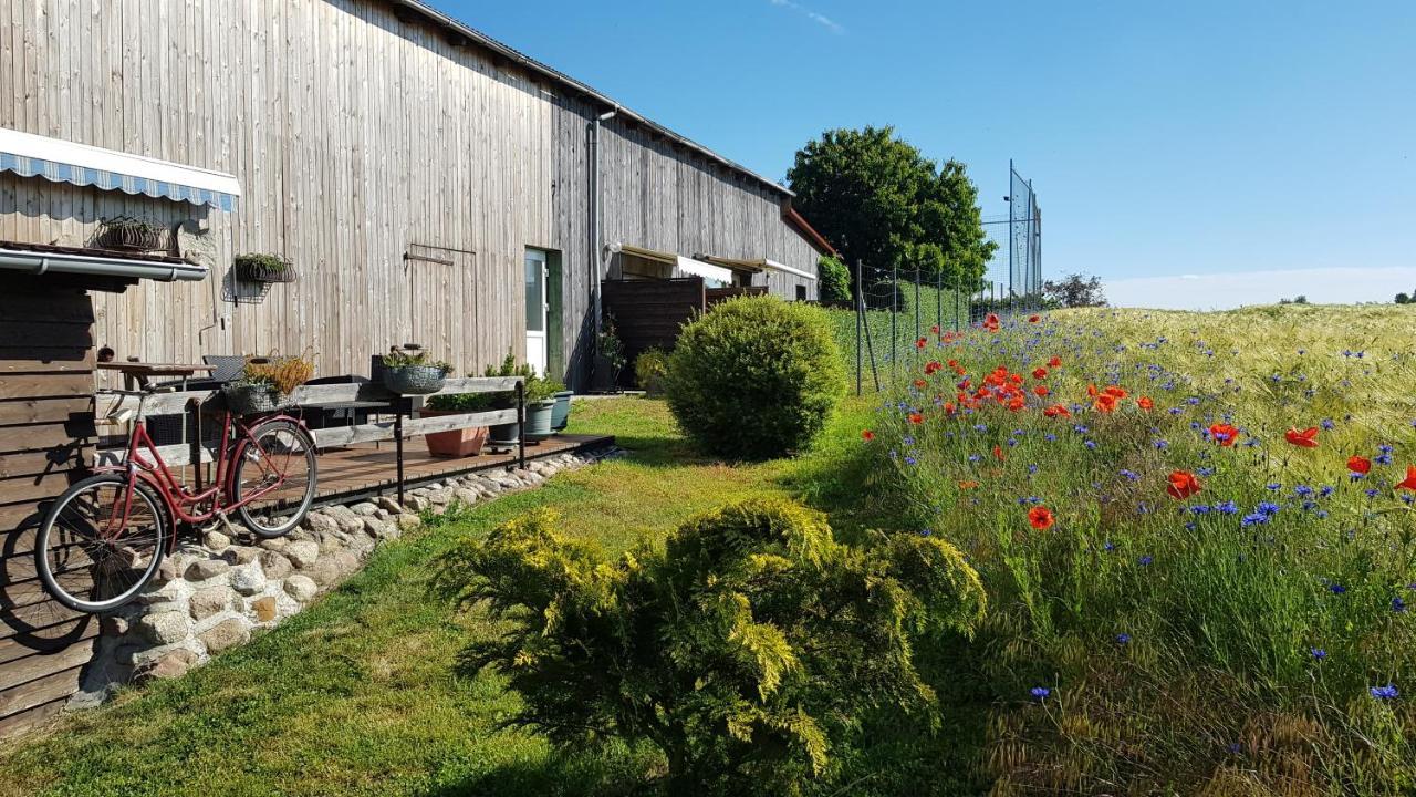 Pension Zum Wiesengrund Frauenhagen Exterior photo